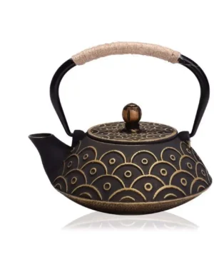 Théières japonaises Tetsubin bouilloire 900ml infuseurs Kung Fu en filet métallique