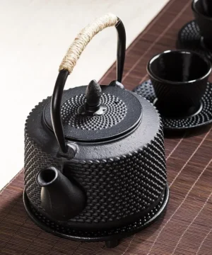 Théière en fonte japonais Tetsubin bouteille en fer
