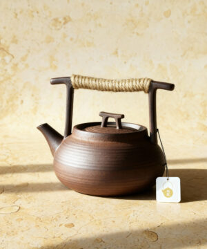 Théière de Style japonais de 350ml en céramique Kungfu