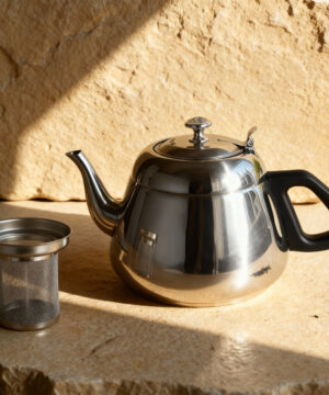 Théière filtre infuseur acier inoxydable Camping à domicile