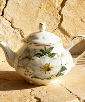 Théière avec poêle Style britannique porcelaine