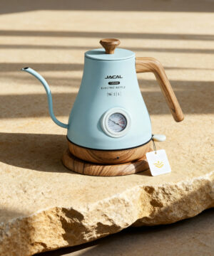 Théière électrique bouilloire à chauffage rapide