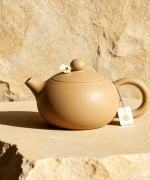 Théière en argile Yixing chinois petite capacité Tradition Xishi 110ml